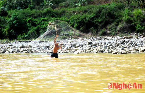 Thả lưới tìm cá mát ở Tùng Hương.