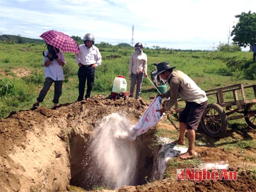 Tiêu hủy số sản phẩm động vật