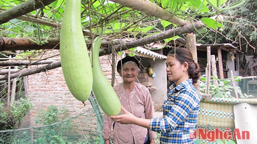 Trí thức trẻ Bùi Thị Thùy Dung tại gia đình anh Phạm Văn Thân  (xã Xá Lượng - Tương Dương). 