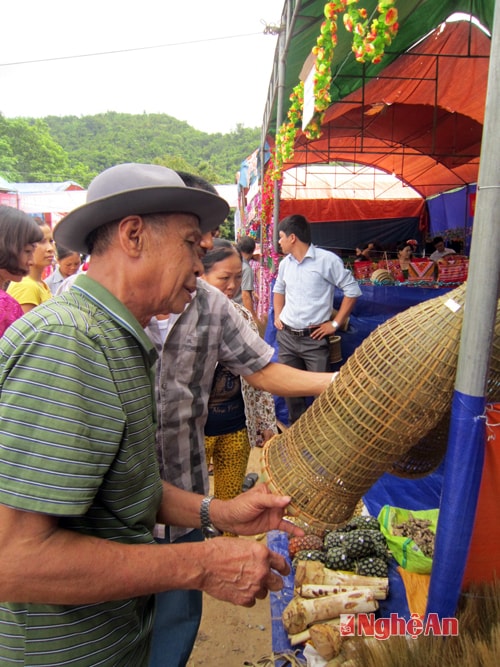 Mọt cụ già đang lựa chọn chiếc nơm bắt cá