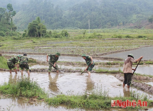 Giúp bà con đắp đập, be bờ trồng lúa nước cũng là một nội dung quan trọng của các cán bộ chiến sĩ. 