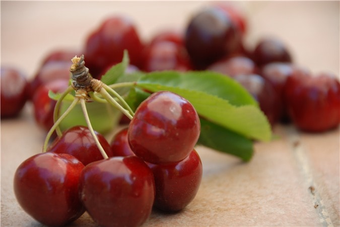  Quercetin và acid ellagic trong quả anh đào giúp ngăn chặn sự tăng trưởng của tế bào khối u và ung thư