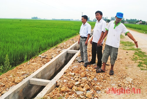 Hệ thống thủy lợi được bê tông hóa tại xã Phúc Thành (Yên Thành).