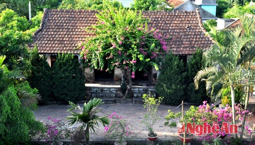 Ngôi nhà của bà Nguyễn Thị Thiên, xóm Bùi Chu, xã Hưng Trung (Hưng Nguyên).