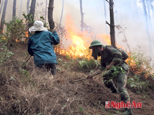 Cháy rừng ở Thượng Sơn (Đô Lương). Ảnh: Hữu Hoàn