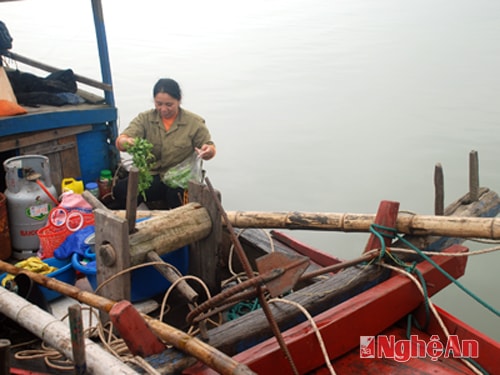 Chị Bình chuẩn bị chuyến lộng mới.