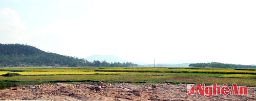 Đất hai lúa bị chuyển nhượng, san lấp trái phép tại xóm 4, xã Nghi Đồng, Nghi Lộc.