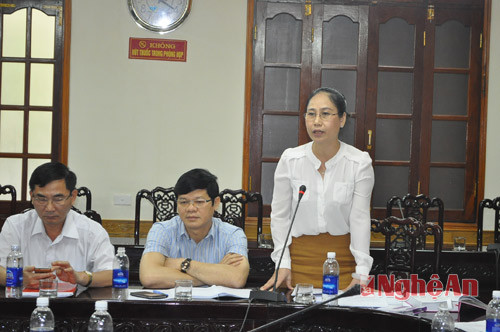 Đồng chí Đinh Lệ Thanh, Phó Chủ tịch UBND tỉnh phát biểu tại buổi làm việc