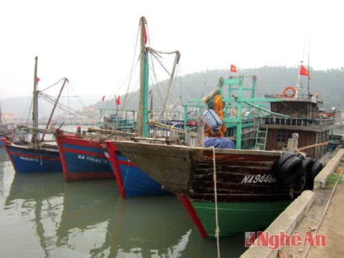 Các phương tiện đang tránh trú bão số 2 tại cảng Lạch Quèn ( Quỳnh Thuận).