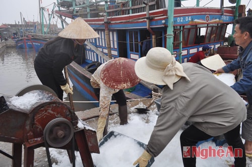 Ngư dân Sơn Hải – Quỳnh Lưu chuẩn bị đá lạnh bảo quản sản phẩm cho chuyến đi biển dài ngày.