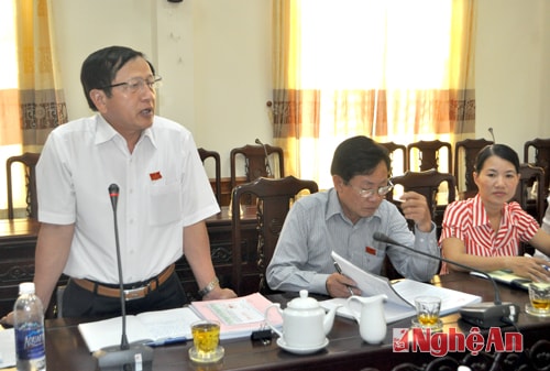 Đại biểu Nguyễn Đình Cát phát biểu tại tổ 3.