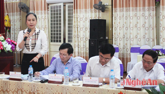 Đồng chí Đinh Thị Lệ Thanh - Phó Chủ tịch UBND tỉnh phát biểu tại buổi làm việc
