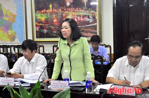 Đồng chí Trương Thị Mai kết luận buổi làm việc.