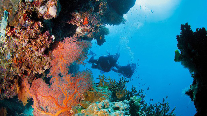 5. Rạn san hô Great Barrier Reef, Australia: Là rạn san hô lớn nhất thế giới và được UNESCO công nhận là di sản thế giới vào năm 1981, Great Barrier Reef bao phủ một vùng với diện tích lên đến 380.000 km2.