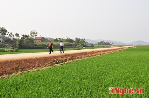 Cánh đồng “một nhà một thửa” ở xã Nghĩa Đồng