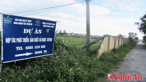 Lối vào Công ty CP Stevia Á Châu