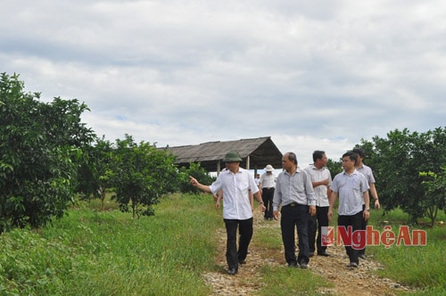 Đoàn công tác đi thăm cơ sở sản xuất, trại khảo nghiệm của Nông trường Xuân Thành