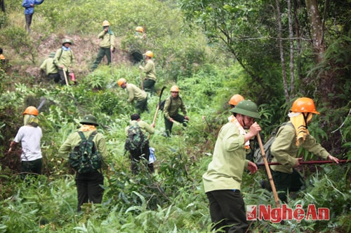 Người dân và lực lượng kiểm lâm phát đường băng cản lửa