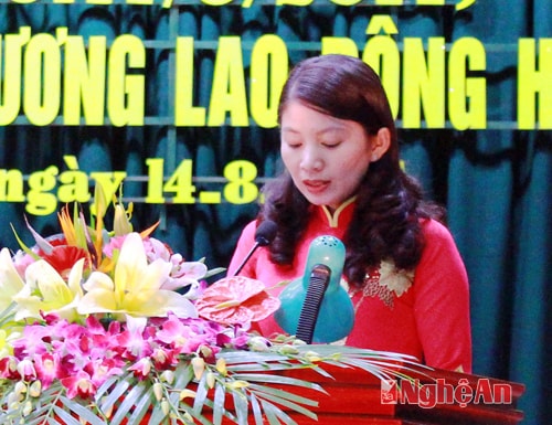 Bà Nguyễn Lương Hồng, Chủ tịch Hội chữ thập đỏ tỉnh phát biểu nói về quá trình hoạt động trong thời gian qua của hội.