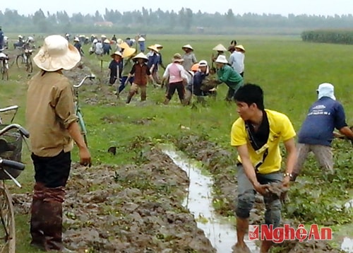 Nông dân Quỳnh Lưu làm thủy lợi.