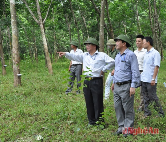 Chủ tịch UBND Thị xã Lê Phúc Ân(người chỉ tay) trực tiếp chỉ đạo bảo vệ thi công.