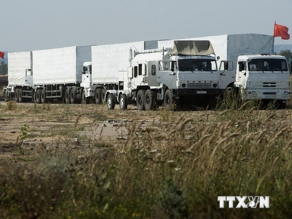 Đoàn xe chở hàng cứu trợ của Nga. (Nguồn: AFP/TTXVN)