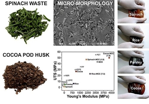 Công thức để chế tạo loại nhựa phân hủy sinh học mới. Ảnh: Dailynewsen.