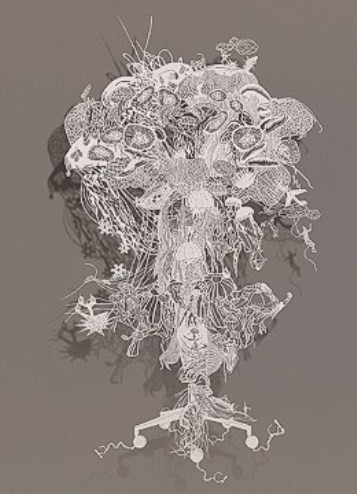 Một trong những tác phẩm cắt giấy tốn nhiều công sức nhất của tài năng người Mỹ Bovey Lee. Anh đã mất đến bốn tháng để tạo ra một con sứa bằng giấy với những họa tiết vô cùng phức tạp và tinh xảo.