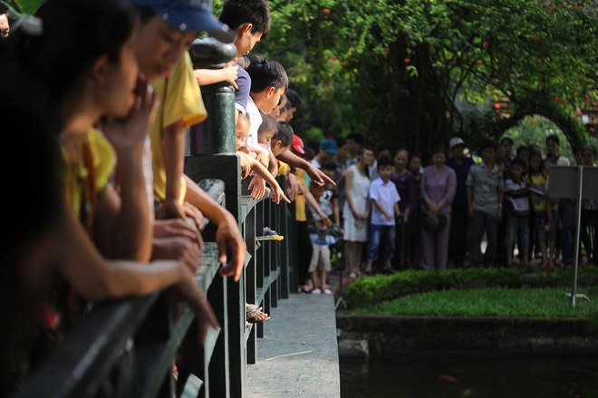 Những ai khi tới thăm Khu Di tích Chủ tịch Hồ Chí Minh tại Phủ Chủ tịch đều không thể bỏ qua Ao cá Bác Hồ. Ao nước này trước đây bị bỏ hoang, hoa cỏ dại mọc tràn lan, đáy ngập rác bùn. Nhưng từ sau khi về sống và làm việc ở nhà sàn, Hồ Chủ tịch đã gợi ý anh em phục vụ cải tạo thành ao nuôi cá để cải thiện đời sống và làm cho môi trường thêm trong lành. Cá được thả nuôi ở đây là cá rô phi, chép, mè, trôi, trắm cỏ... Trong ao còn có nhiều loại trai, nhiều con đã kết ngọc.