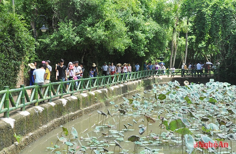 Du khách tham quan hồ sen quê Bác