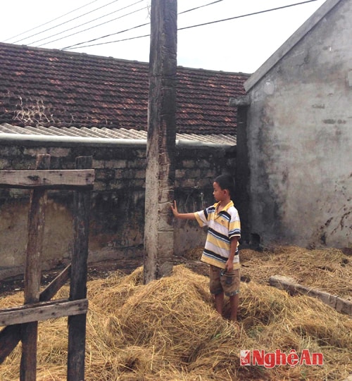 Cây rơm của gia đình anh Nguyễn Dương Hàm bị đốt cháy.