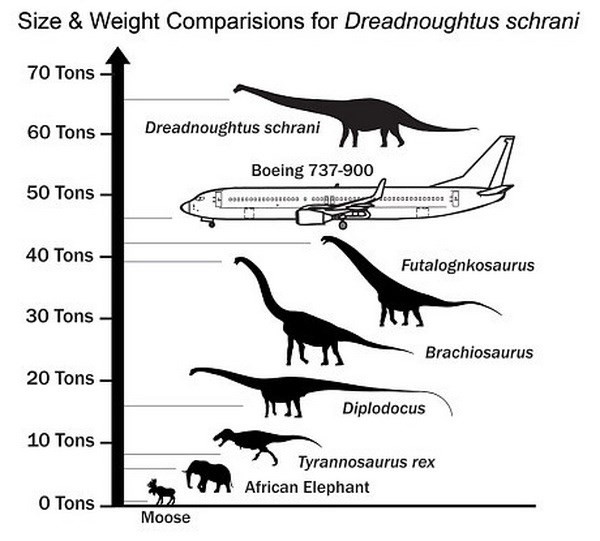 Khủng long còn nặng hơn cả máy bay. (Nguồn: Telegraph)