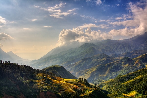 Ruộng bậc thang của Sapa có nhiều, nhưng đáng chú ý nhất là thửa ruộng Tả Van-Hầu Thào-Lao Chải (huyện Sa Pa) nằm ở thung lũng suối Mường Hoa, đây là quần thể ruộng bậc thang đẹp và lớn nhất Sa Pa với tổng diện tích gần 1.000ha. Hay khu ruộng Vù Lùng Sung, xã Trung Chải (huyện Sa Pa) là ruộng có nhiều bậc nhất Việt Nam (121 bậc thang).