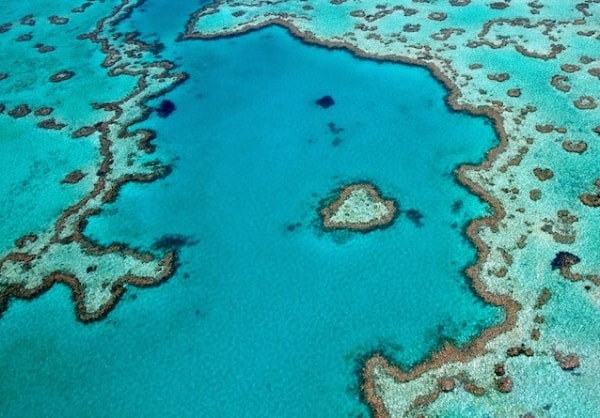 Rặng san hô Great Barrier (Australia)