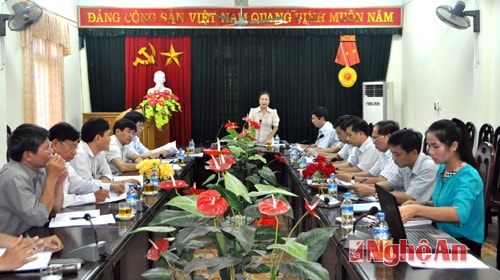 Bà Tôn Thị Cẩm Hà phát biểu tại cuộc làm việc.