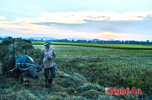 Đường về. Ảnh: Cao Đông