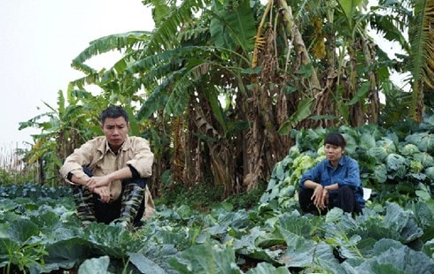 Một số cảnh trong phim 