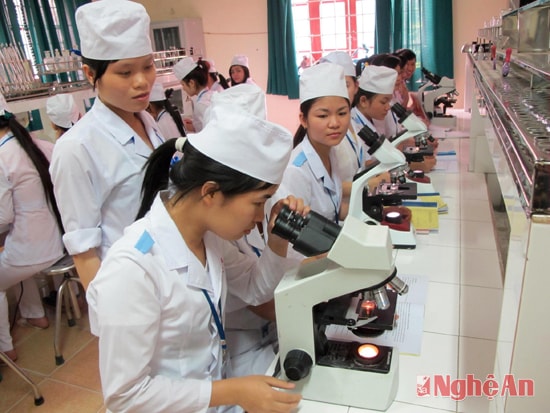 Sinh viên Trường ĐH Y khoa Vinh làm quen với các dụng cụ y học tiên tiến.Ảnh: T.P