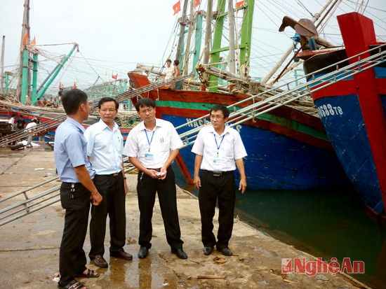 Các đồng chí lãnh đạo huyện Quỳnh Lưu kiểm tra công tác phòng chống bão