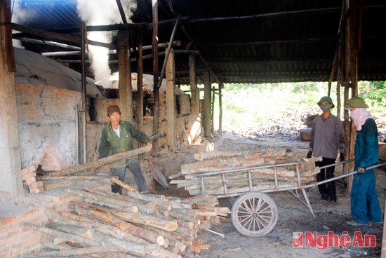 Cành, ngọn keo lai, bạch đàn được đưa vào lò đốt để làm than hoạt tính.