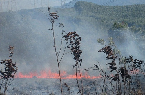  Người dân đốt thực bì gây cháy rừng, ảnh hưởng đến đường dây truyền tải điện.