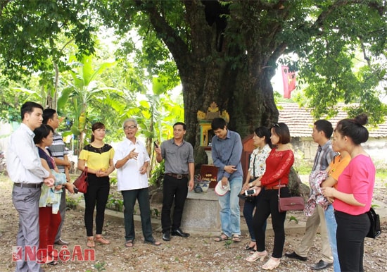 Đoàn khảo sát trao đổi với ông Lê Minh Thưởng - người đang trông coi 5 cây thị di sản tại xã Nghi Thịnh - Nghi Lộc.