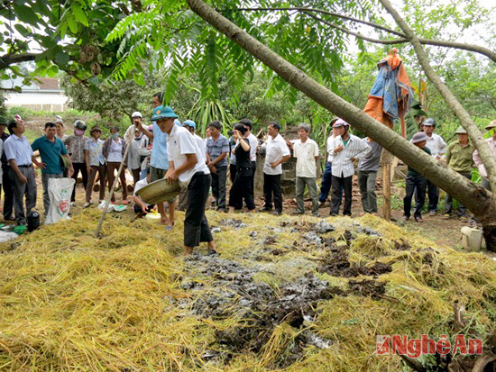 Mô hình trình diễn làm phân vi sinh tại Nghĩa Hành (Tân Kỳ).