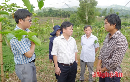 Trò chuyện cùng anh Lưu Văn Chiến, bản San, chủ hộ trồng chanh leo thí điểm