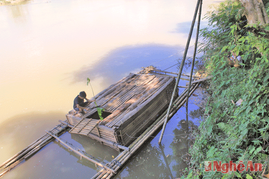 Nuôi cá lồng dọc các sông suối mang lại hiệu quả kinh tế cao. Có trên 45 mô hình nuôi cá lồng trên địa bàn huyện, tập trung chủ yếu ở xã Châu Tiến