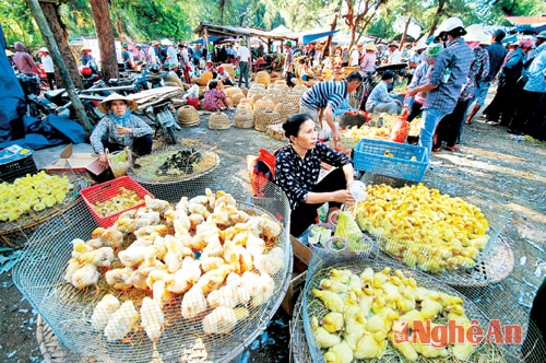 Nơi bán gia cầm.