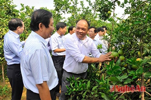 Nghe giới thiệu về, qui trình chăm sóc và  chất lượng cam
