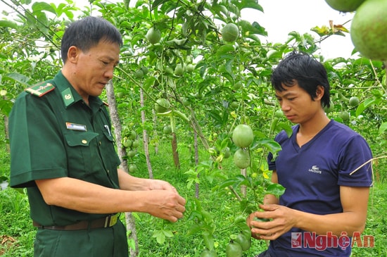 Anh Vy Thanh Xuân (bên phải) là một trong những hộ trồng chanh leo khá thành công ở bản Yên Sơn, cho thu nhập hàng chục triệu đồng mỗi năm