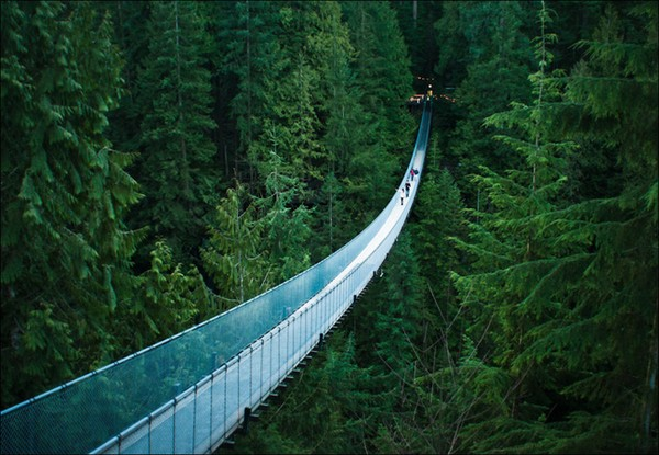 25. Cầu Capilano Suspension, Vancouver, BC, Canada