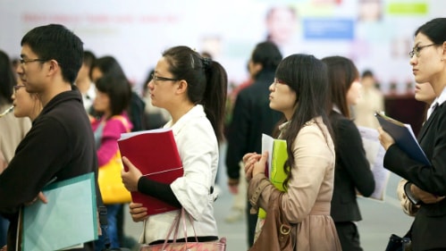 Có tấm bằng trong tay, song nhiều bạn trẻ vẫn chưa xin được việc làm.